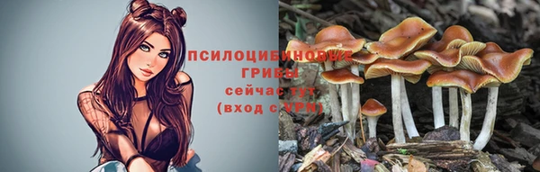 спиды Щёлкино