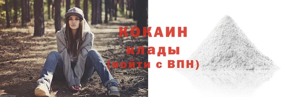 PSILOCYBIN Яранск