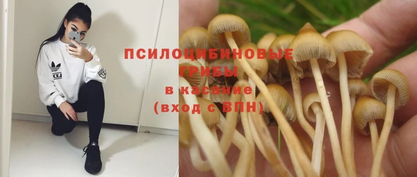 PSILOCYBIN Яранск