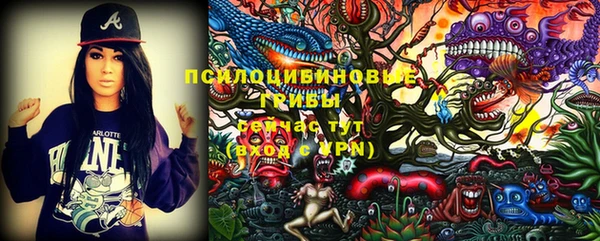 PSILOCYBIN Яранск